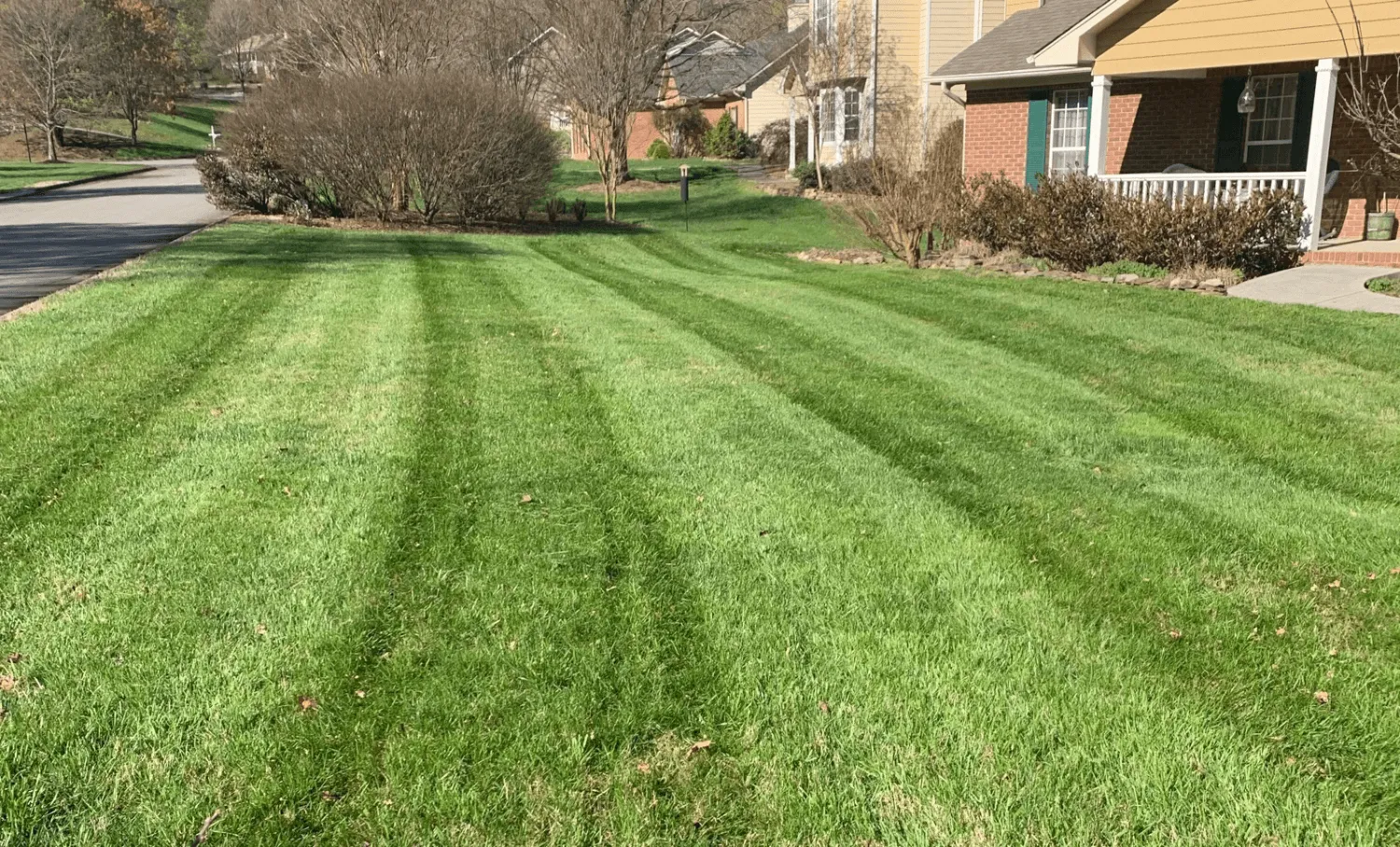 grass cutting service