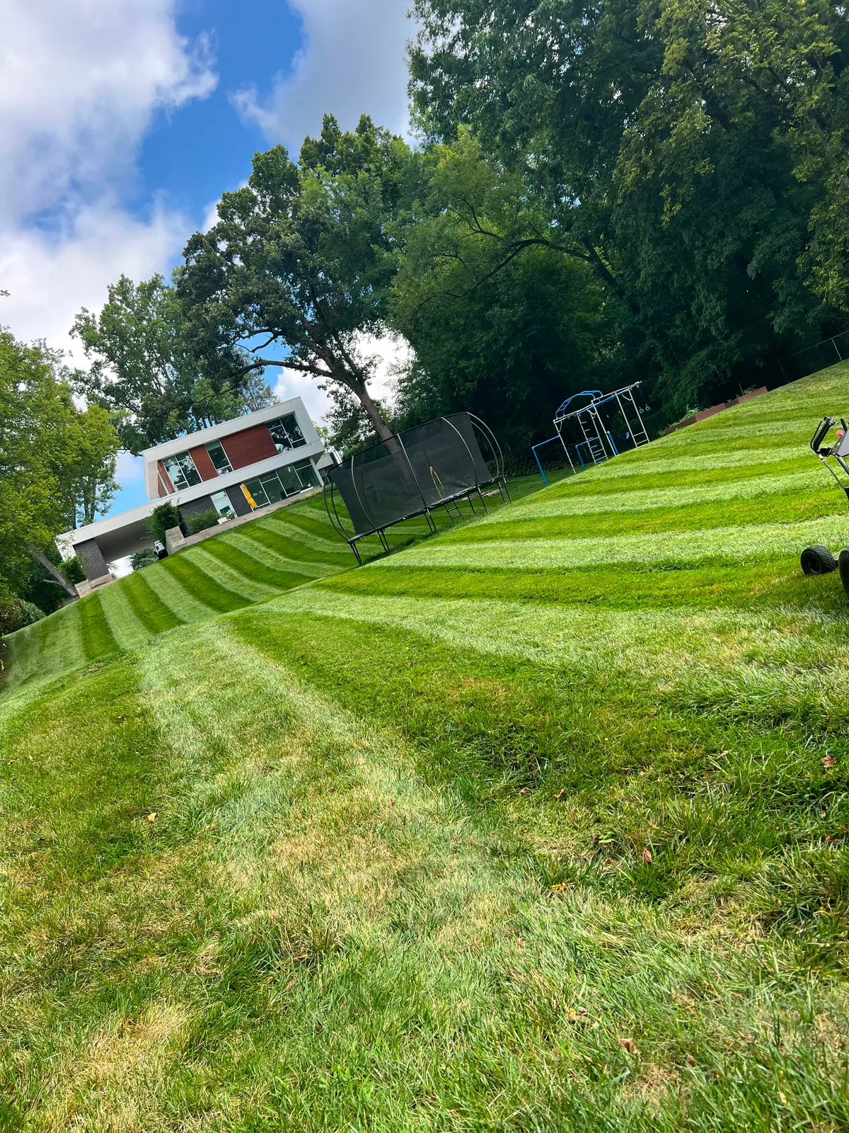Backyard lawn with mowing stripes along a wooded property line