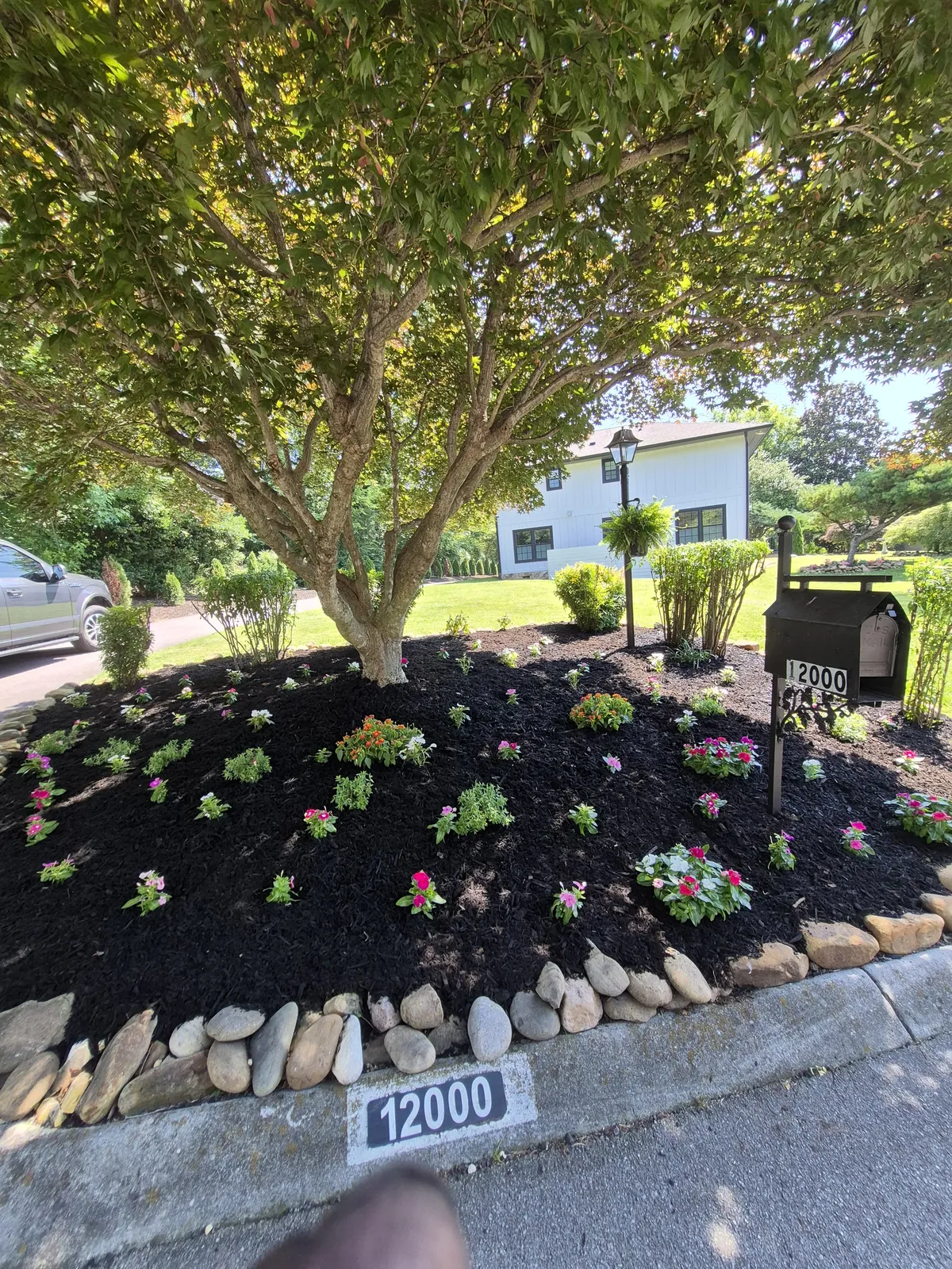 New black mulch bed around a tree with clean edges