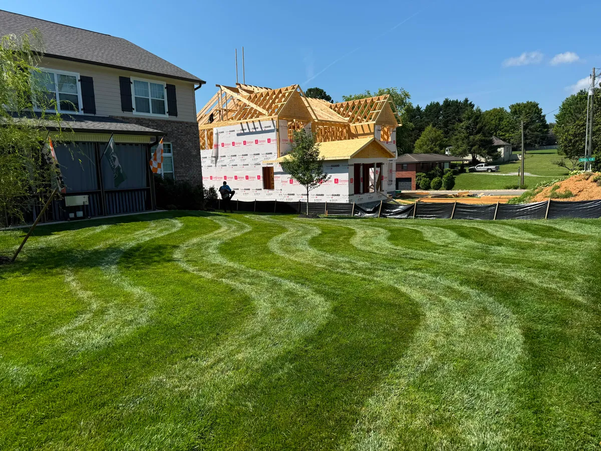 Curved mowing pattern on a large front lawn