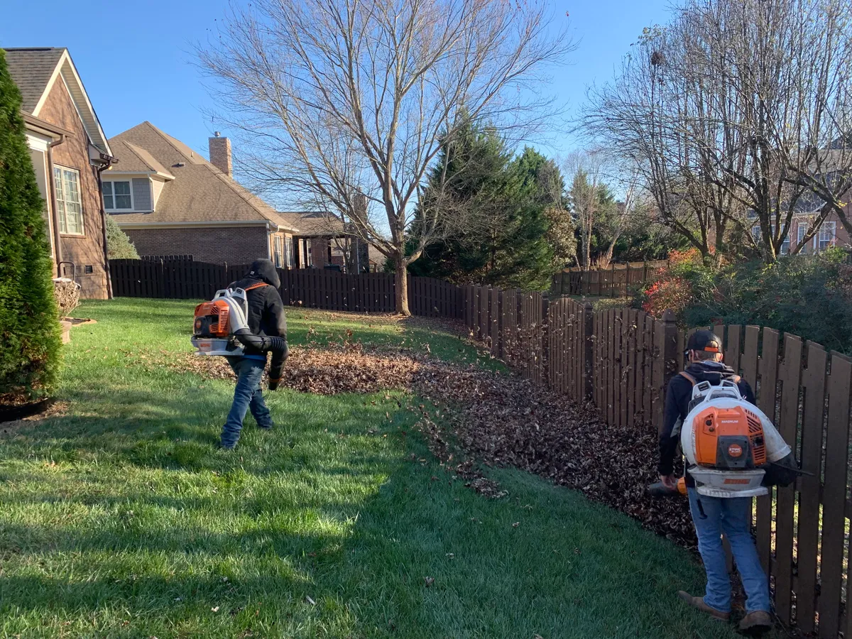 Crew blowing a thick layer of fall leaves out of a backyard