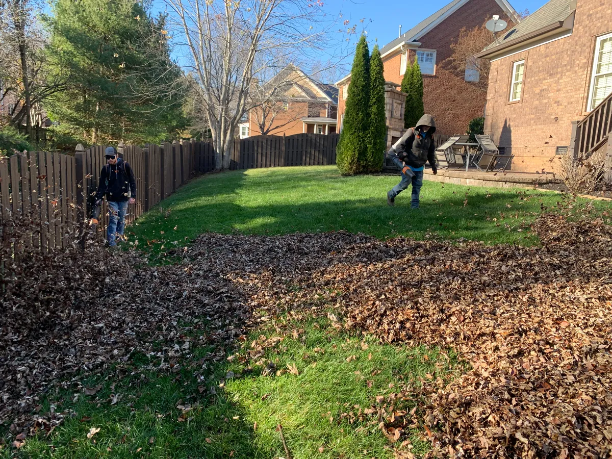 Leaf cleanup in progress along a backyard fence