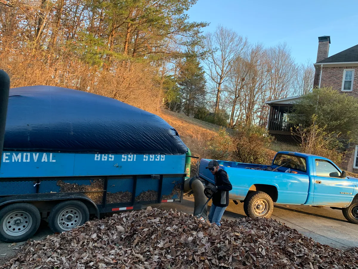 Crew loading leaves into the leaf vacuum box
