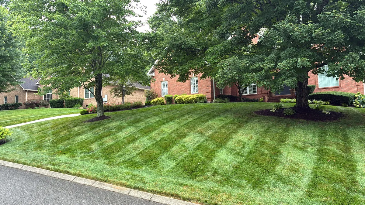 Freshly mowed lawn with clean stripes in front of a Knoxville home