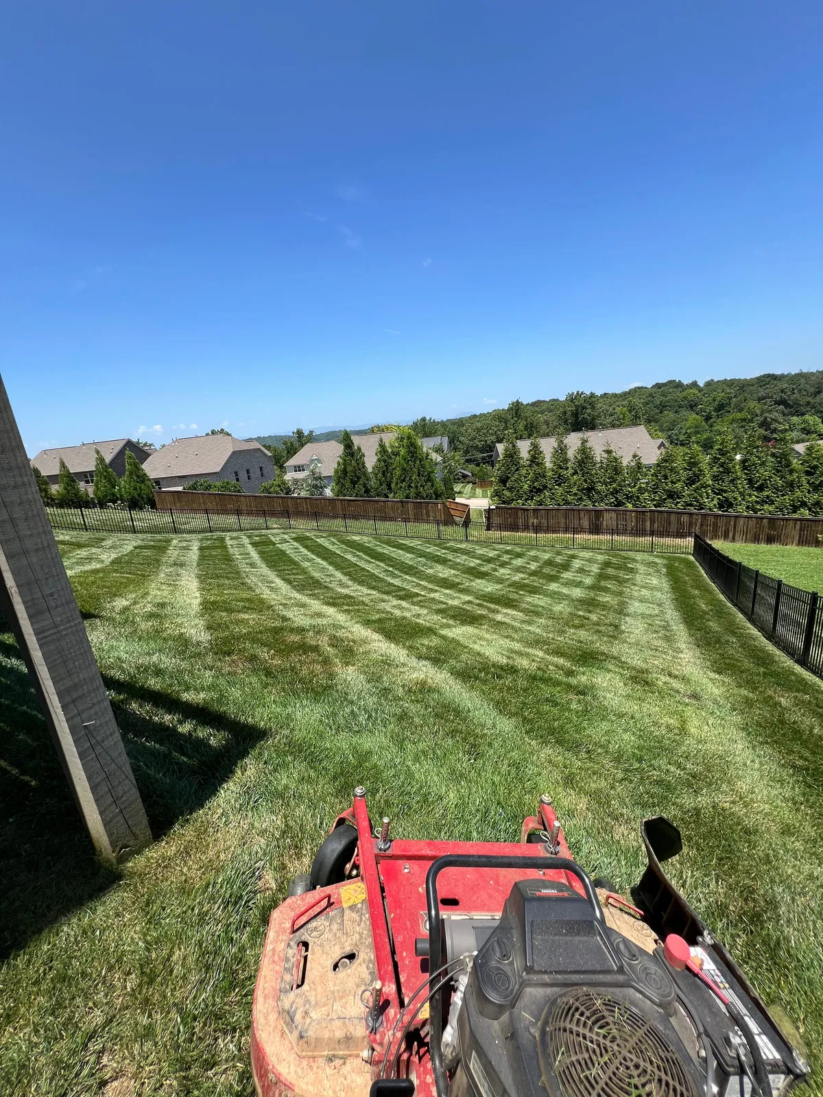 Wide striped lawn after weekly mowing in West Knoxville