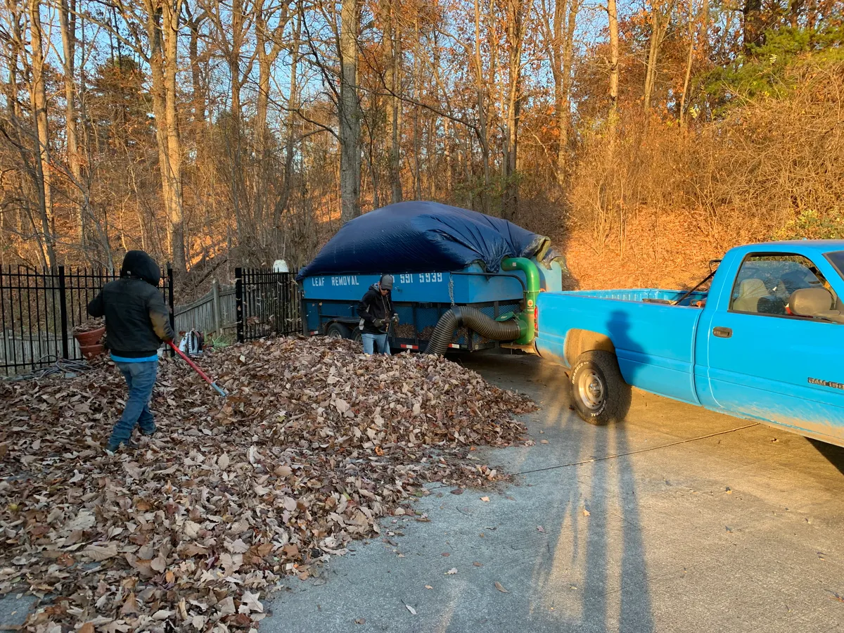 St. John truck and leaf vacuum trailer collecting leaves